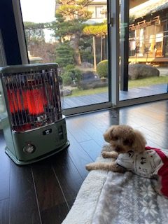 アラジン石油ストーブ購入