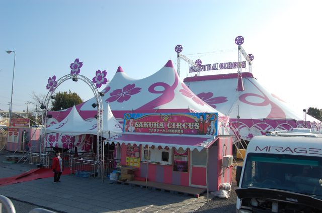 和泉市🌸さくらサーカス（SAKURA🌸CIRCUS）